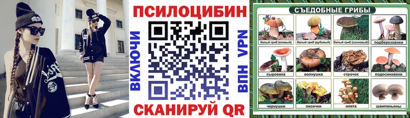 купить наркотик  mega сайт  Псилоцибиновые грибы Magic Shrooms  Сельцо 